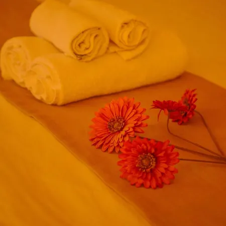 Apartament Park M